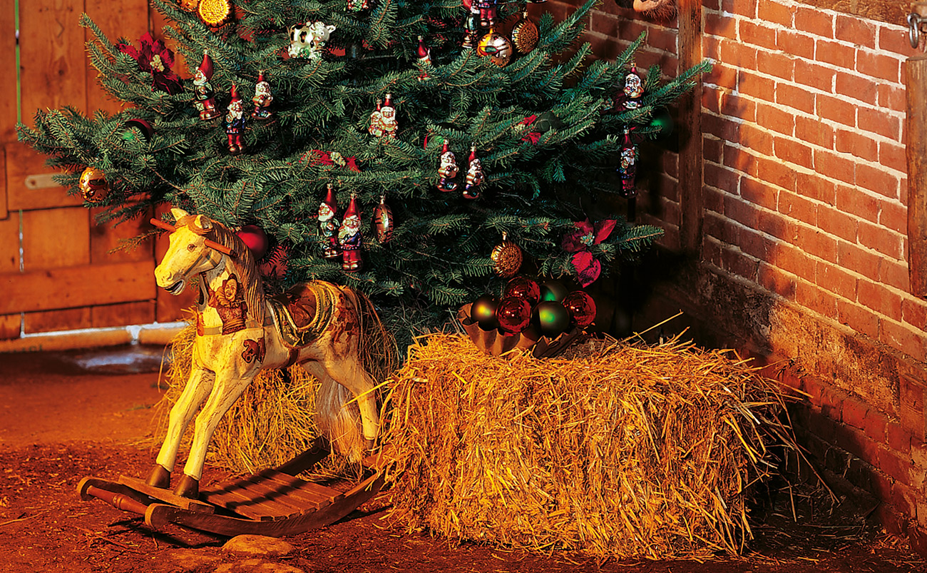 Weihnachten im Stall