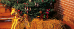 Weihnachten im Stall