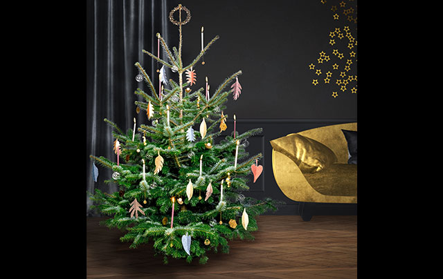 Herbstliche Pracht zu Weihnachten